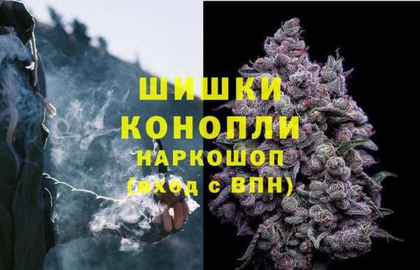 ECSTASY Лиски