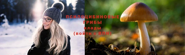 мескалин Ладушкин