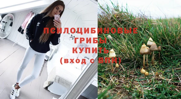 мескалин Ладушкин
